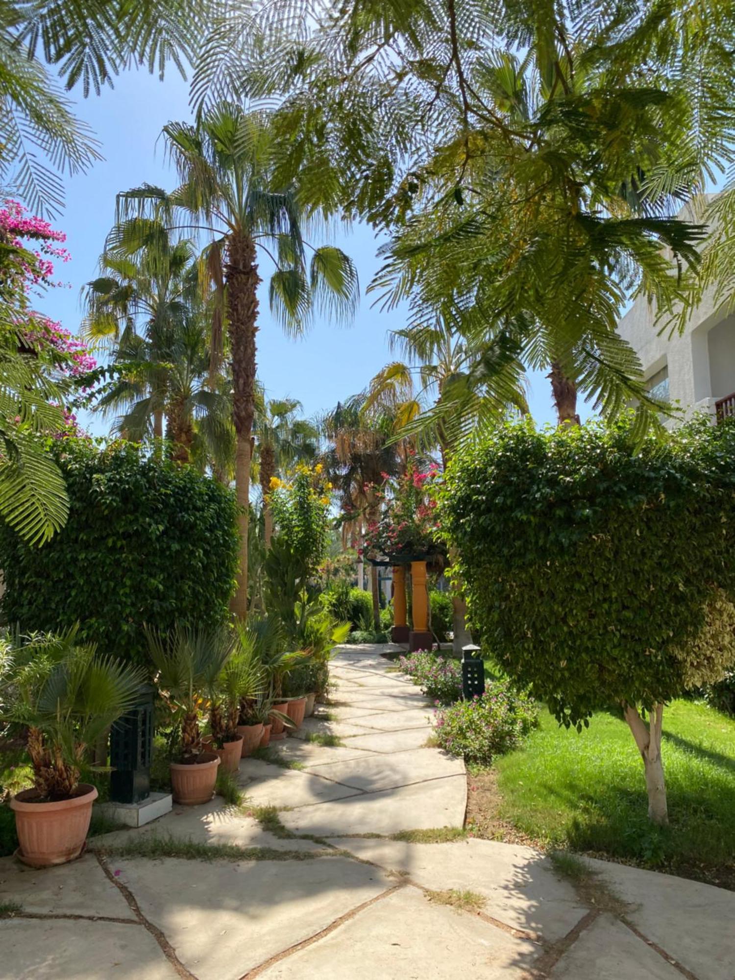 Delta Sharm Apartment Exterior photo