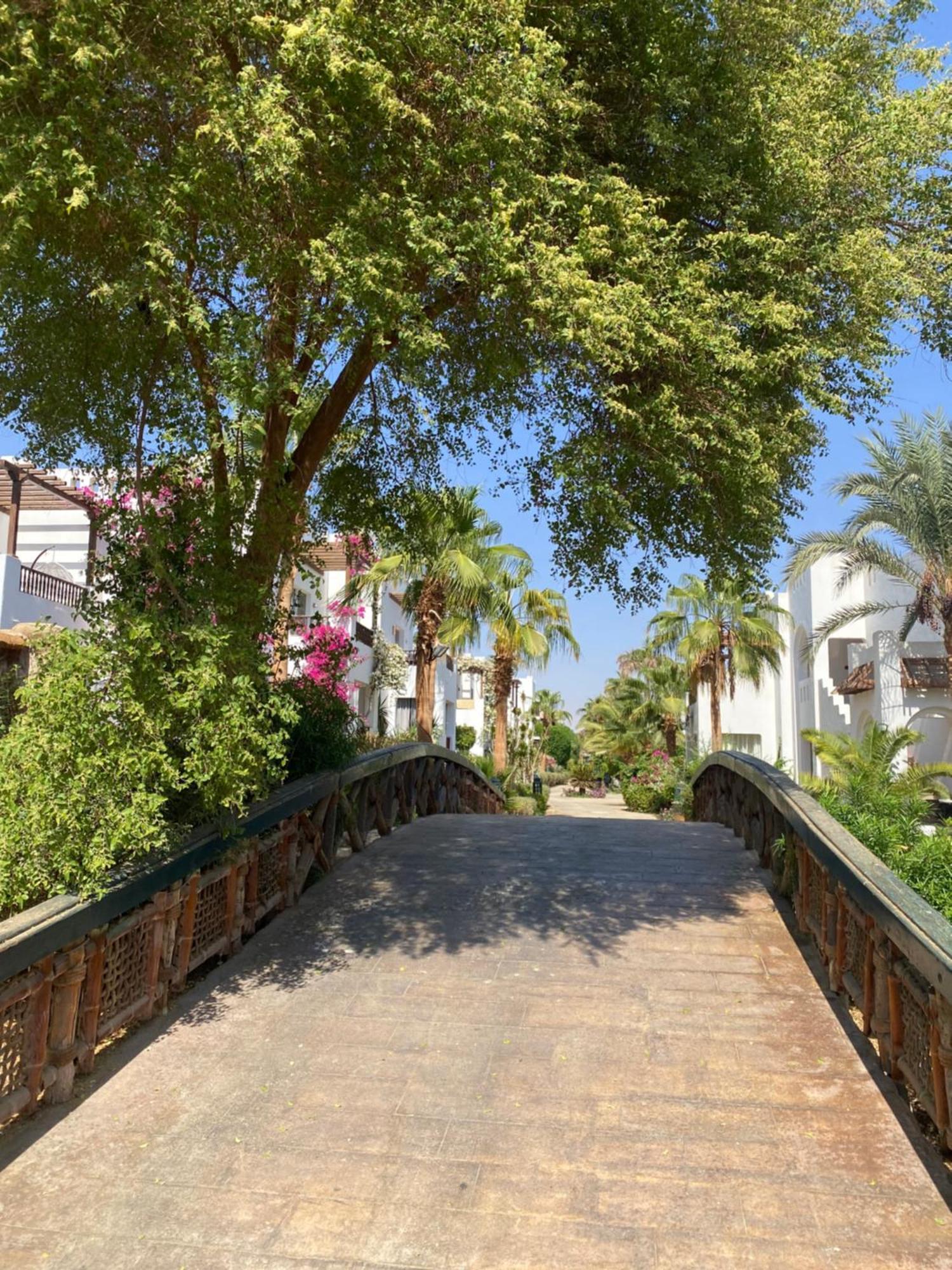 Delta Sharm Apartment Exterior photo